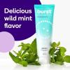 BURST Charcoal Whitening Toothpaste for Adults (4.7oz) | for Sensitive Teeth with Cavity Fighting Fluoride & Xylitol |Vegan | Gluten & SLS Free | Coconut Salt(Fluoride-Free: Wild Mint 2 Pack)