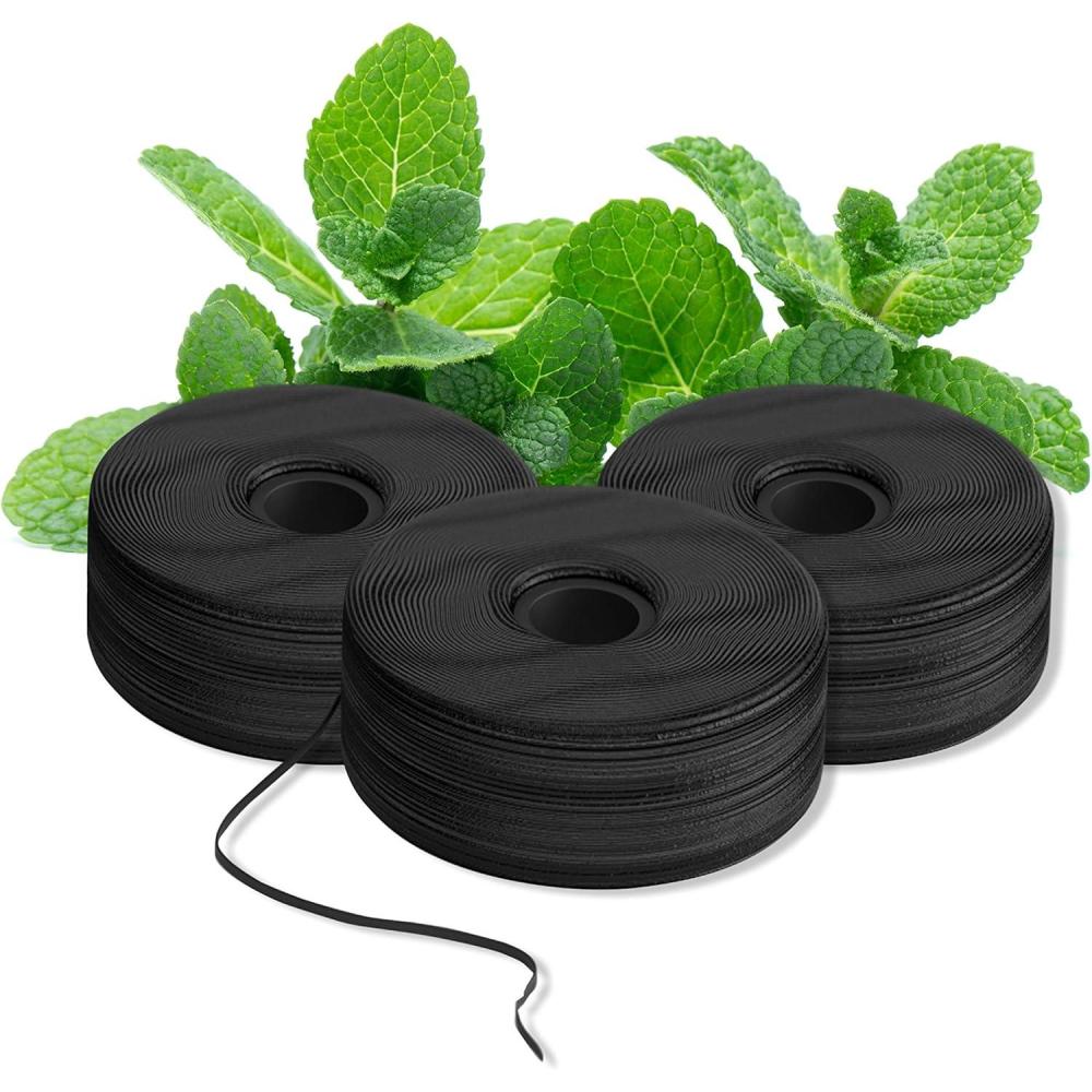 image:imageBURST Expanding Dental Floss Refills 32 Yards3 Pack Mint Eucalyptus Aroma Bobbins Woven Tooth Floss StainAbsorbing Vegan Paraben BPA amp CrueltyFree Smart Expanding Floss RefillsMint Eucalyptus