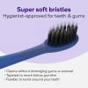 Burst Curve Sonic Electric Toothbrush for Adults (Cobalt Blue) | Slim Travel Brush with Cover | Ultra Soft Bristles | Up to 2 Month Rechargeable Battery | Two Modes & Timer(Cobalt Blue)