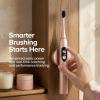 Burst Pro Sonic Advanced Electric Toothbrush for Adults (Black) | Soft Bristles | 33,000 Vibrations | Long-Lasting Battery and Multiple Brushing Modes(Rose Gold)